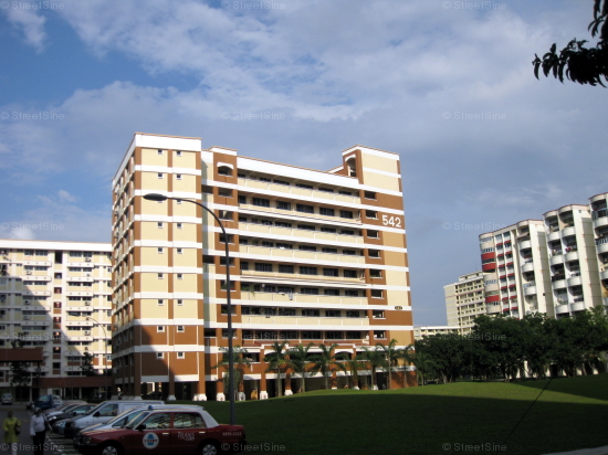 Blk 542 Hougang Avenue 8 (Hougang), HDB 5 Rooms #244472